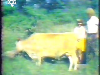 Dog Porn Man Fuck Dog