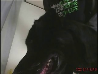 Bokep Dog Fuck Girl