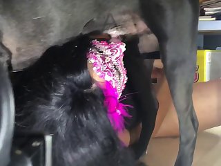 Dog Fuck Girll