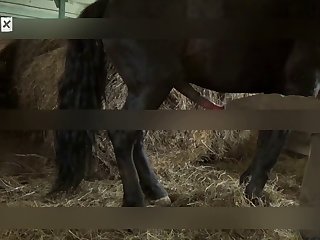 Fleshlight Dog Fuck