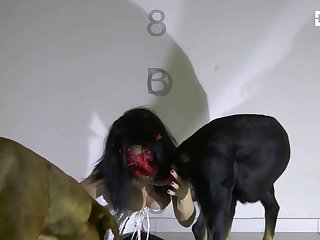 Little Girl Dog Fuck