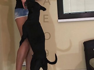 Fuck Dog Mom