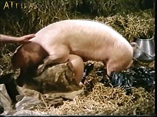 Im Screaming Fuck 12 Until They Free My Dog