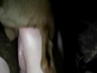 Getting Fuck By A Dog Porn