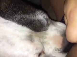 Small Dog Fuck Man