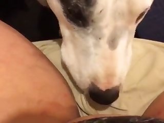 Helping My Wife Fuck Our Dog