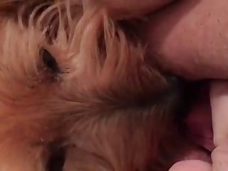 Young Teens Fuck Dog