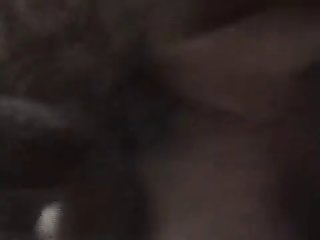 We Wanna Fuck A Dog In The Ass