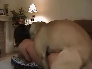 Dog Fuck Drunk Story