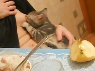 Dog Fuck Girl Behind