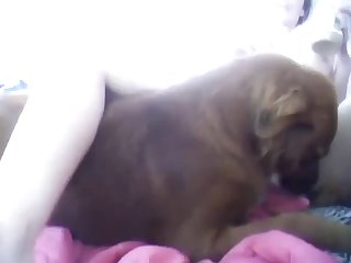 Masha Dog Fuck