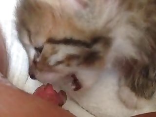 Girls Let Dog Fuck Her