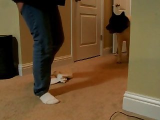 Dog Fuck Train