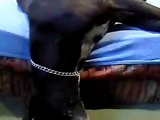Dog Fuck Girl New Video