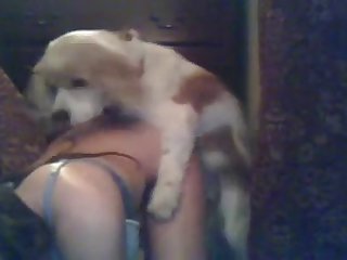 Big Tits Fuck Dog Porn