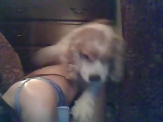 Big Tits Fuck Dog Porn