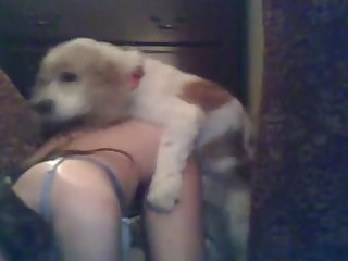 Big Tits Fuck Dog Porn