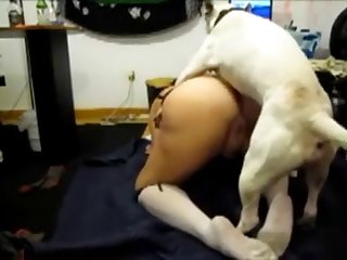 Dog Fuck Vk
