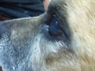 Woman First Dog Fuck