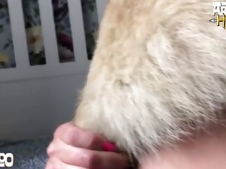 Dog Fuck Bbw Porn