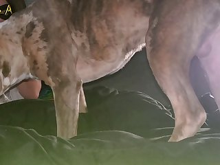 Man Fuck Big Female Dog