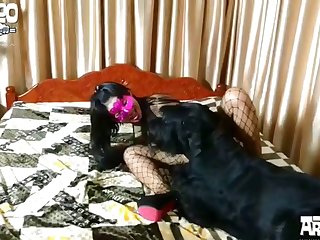 best cockhead porn videos page 1 at bestiality.zone