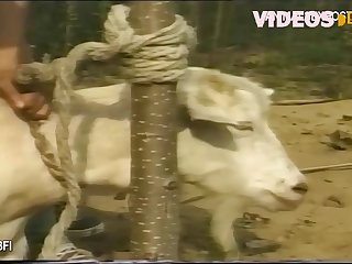 Mom Helps Daughter Fuck Dog