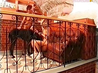 How To Fuck Your Dog Porn