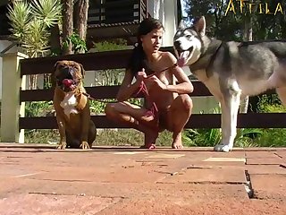 Dog Fuck Stockings