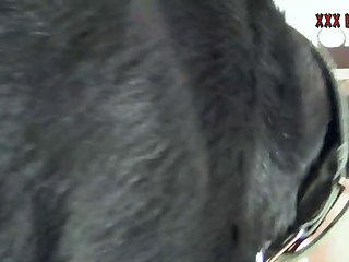 Did Hunter Biden Fuck A Dog