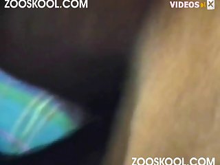 Luxure Zoo Porn