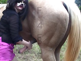 Porn Dog Licking