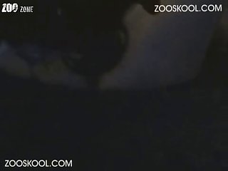 Zoofilia Espanol