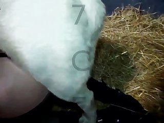 Teen Suck Dog Dick Porn