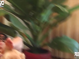 Animal Human Sex Gif
