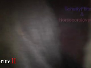 Animal Ranbir Kapoor Sex Scenes Porn