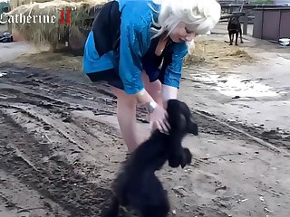 Animal Force Porn
