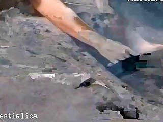 Animal Sex Videos Porn