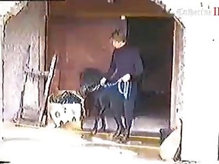 Indian Man Animal Porn