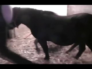 3d Animal Porn Comics