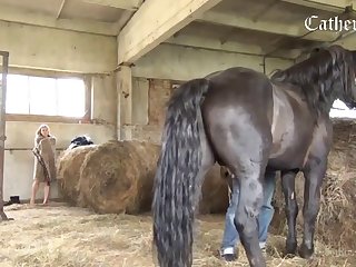 Fucking Like An Animal Porn