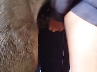 Animal With Men Porn
