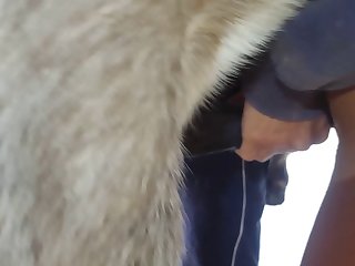 Animal With Men Porn