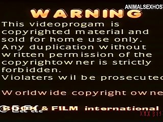Porn Animal Breeding