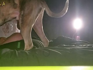 Animal Porn X Master