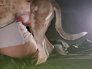 Animal Porn X Master