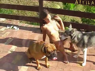 Animal Trainer 4 Porn