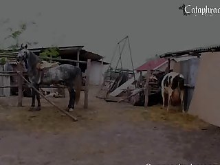 Watching Animal Porn In India