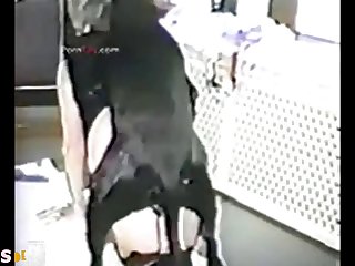 Animal Porn Vedioes
