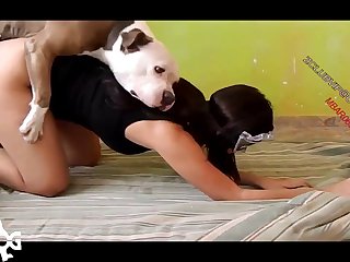 Animated Female Animal Porn